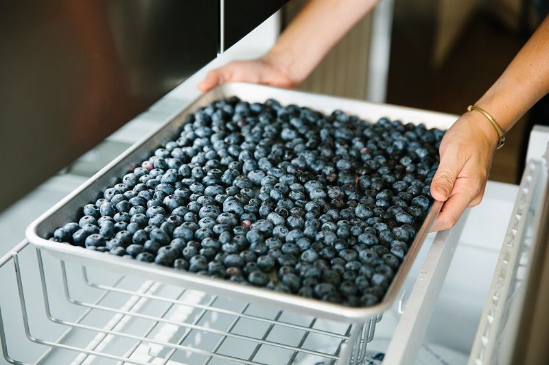 How to frozen blueberries 