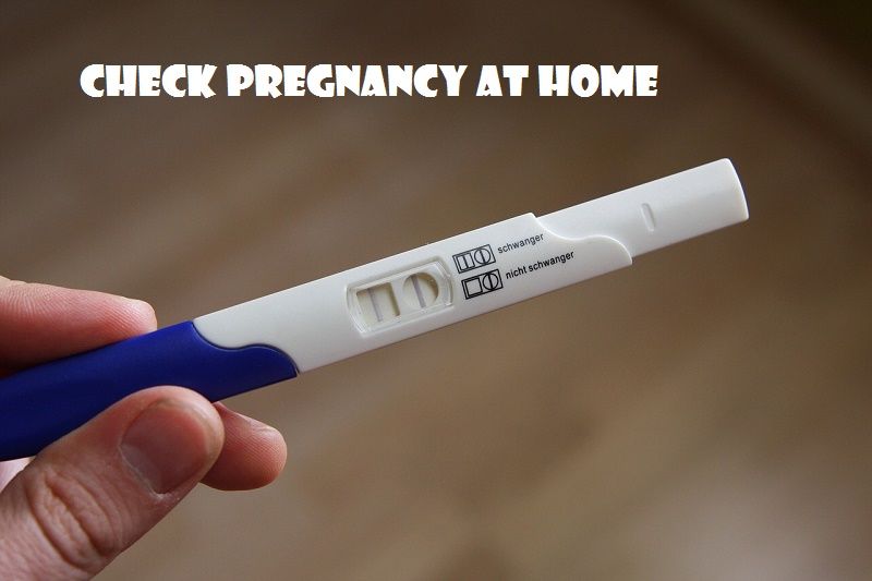 check pregnancy at home