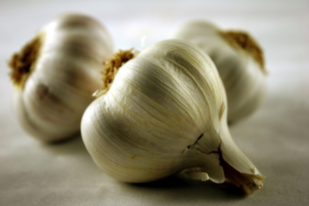 Facts About Garlic