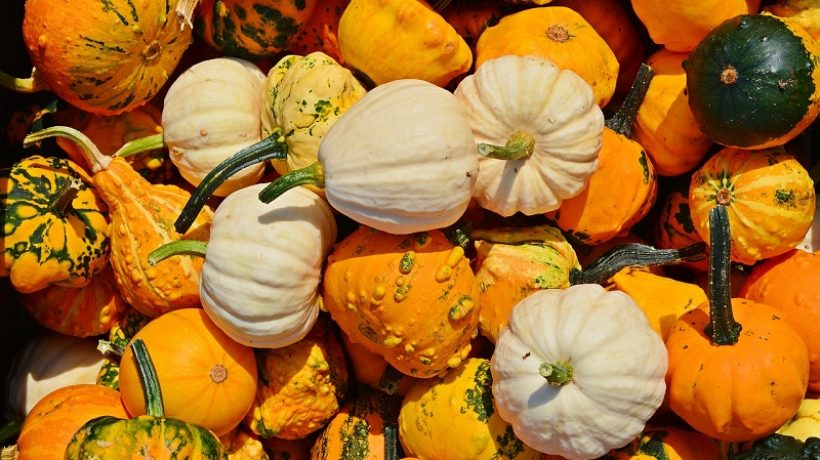 The benefits of pumpkin and its depurative properties