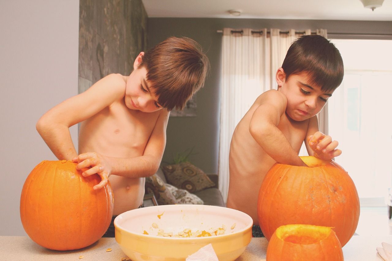 children are collecting pumpkin seeds