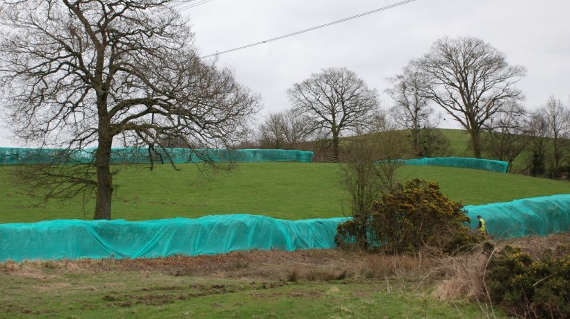 What is tree netting?
