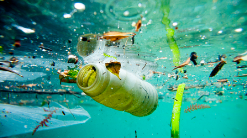 6 consequences of water pollution