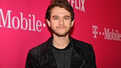 Zedd net worth