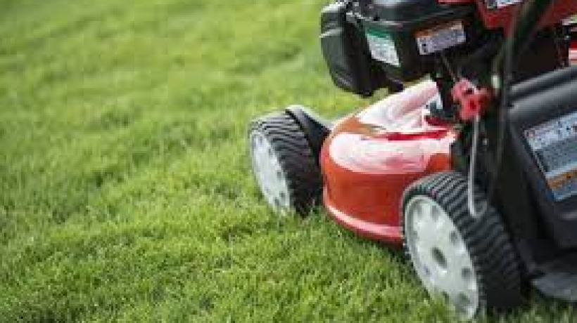 A Useful Guide to Buying a Lawnmower