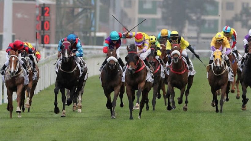 Key Things To Consider Before You Wager On Thoroughbred Racing