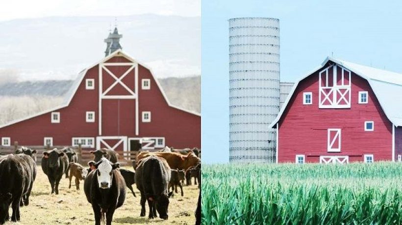 The difference between ranch and farm