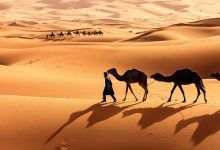 largest desert in africa