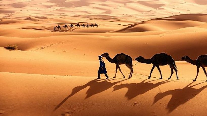 Top 10 largest desert in africa