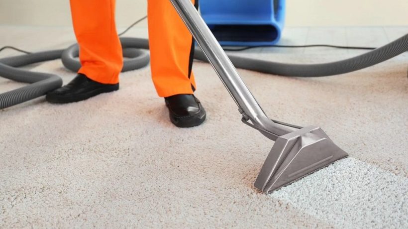 Why Should You Invest in Professional Carpet Cleaning Services?