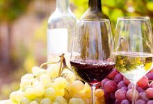 How to choose the right wine yeast for your grapes qui