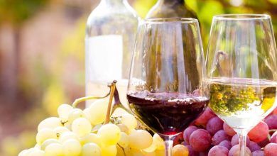 How to choose the right wine yeast for your grapes qui