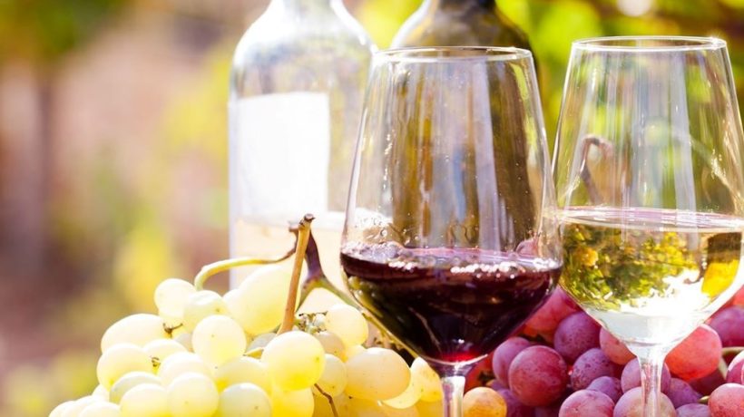 How to Choose the Right Wine Yeast for Your Grapes