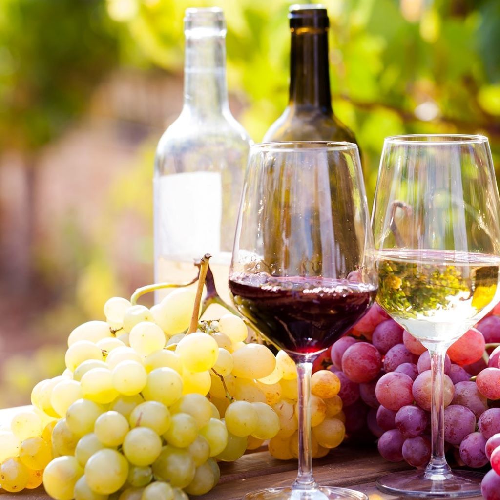 How to choose the right wine yeast for your grapes qui