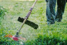 Lawn Care Guide for Illinois Homeowners