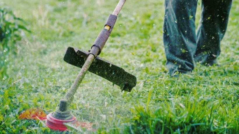 Chicago Starter Lawn Care: Maintenance & Tools