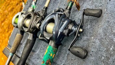 How long should a fishing line last