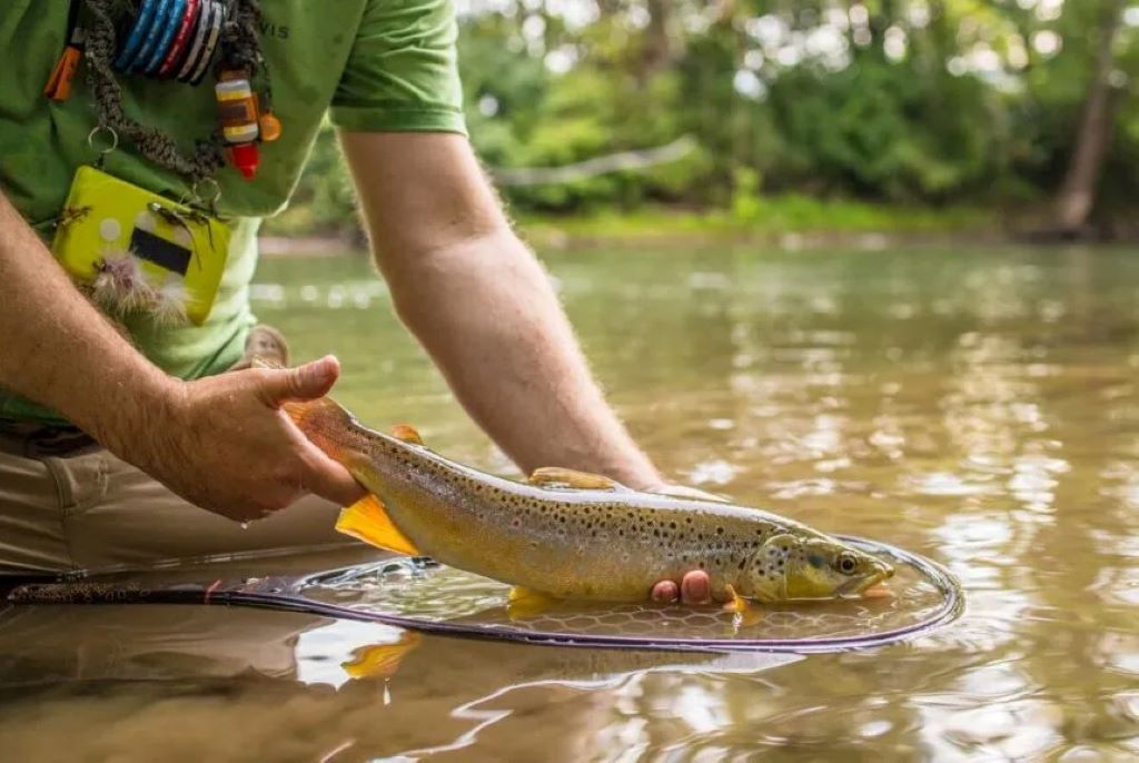 How to Beat the Heat and Still Catch Fish This Summer