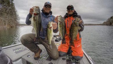 How to Beat the Heat and Still Catch Fish This Summer