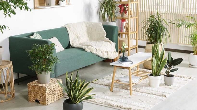 Houston Green Home Living: Solar Decor & Sustainable Furniture
