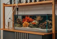 Reef tank water parameters chart
