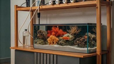 Reef tank water parameters chart