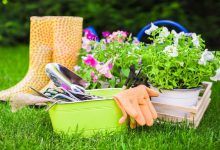 How early should I start mulching in spring