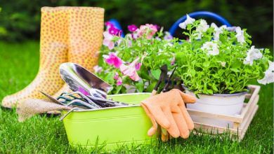 How early should I start mulching in spring