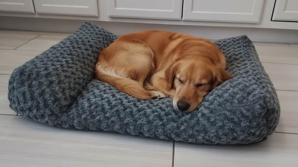 Cozy dog curled up in a plush orthopedic bed with soft bolsters for maximum snuggle comfort
