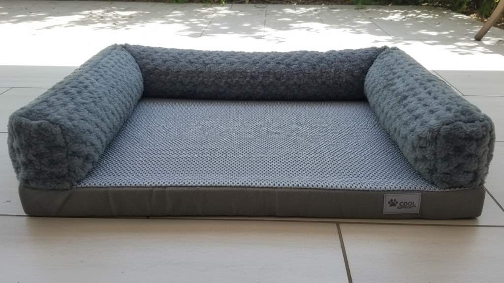 Elevated mesh dog bed providing airflow and support for active breeds in warm weather
