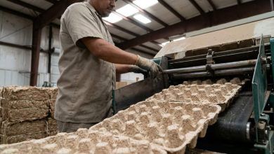 Texas food packaging sustainability initiative in manufacturing facility