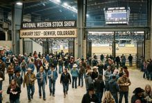 Crowds gathering at the National Western Stock Show arena during the 2027 January rodeo in Denver, Colorado